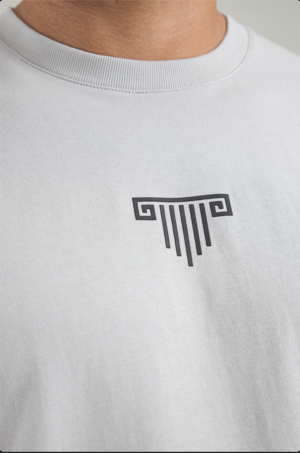 Essence Gray Regular Fit T-Shirt