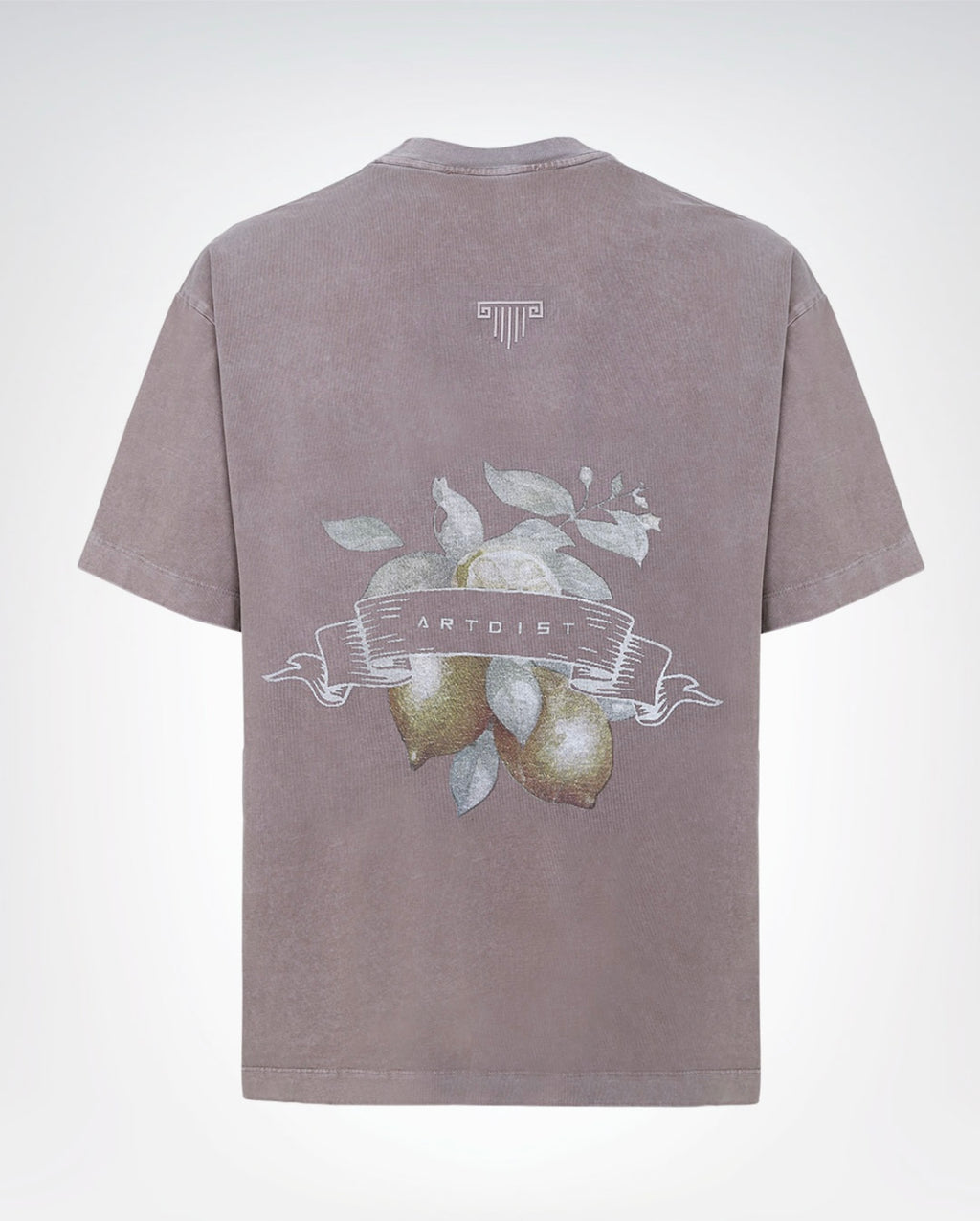 Amalfi Washed Oversize T-Shirt