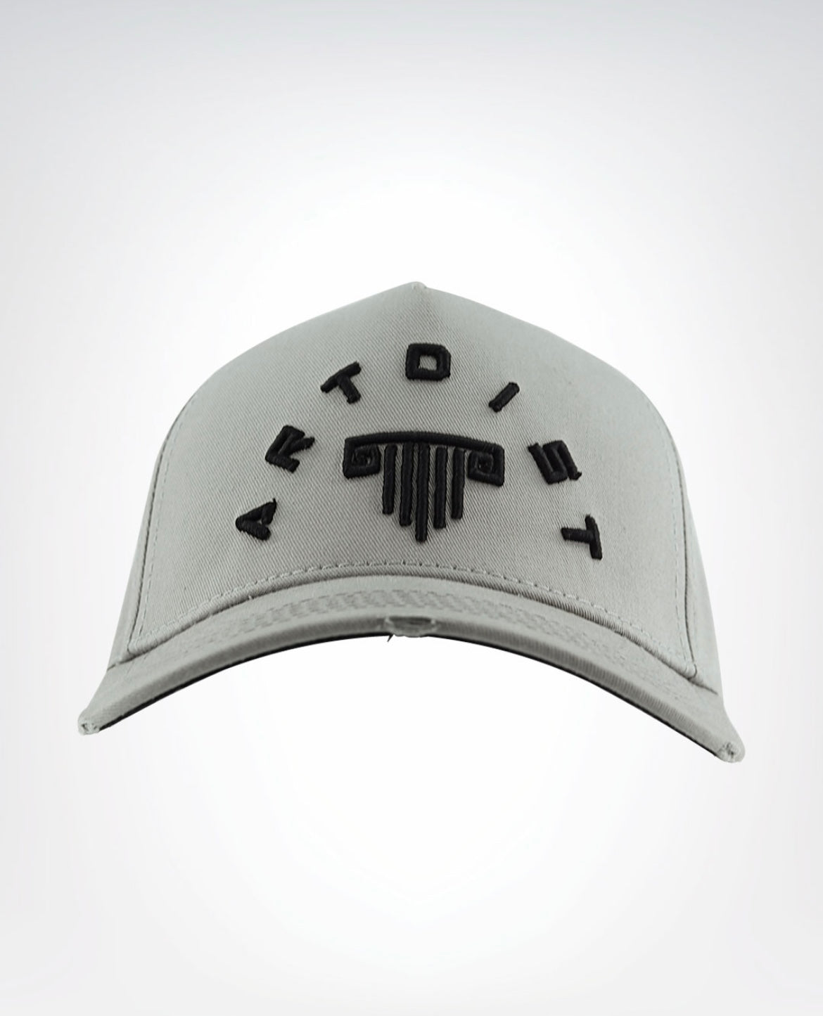 Canva Grey Cap