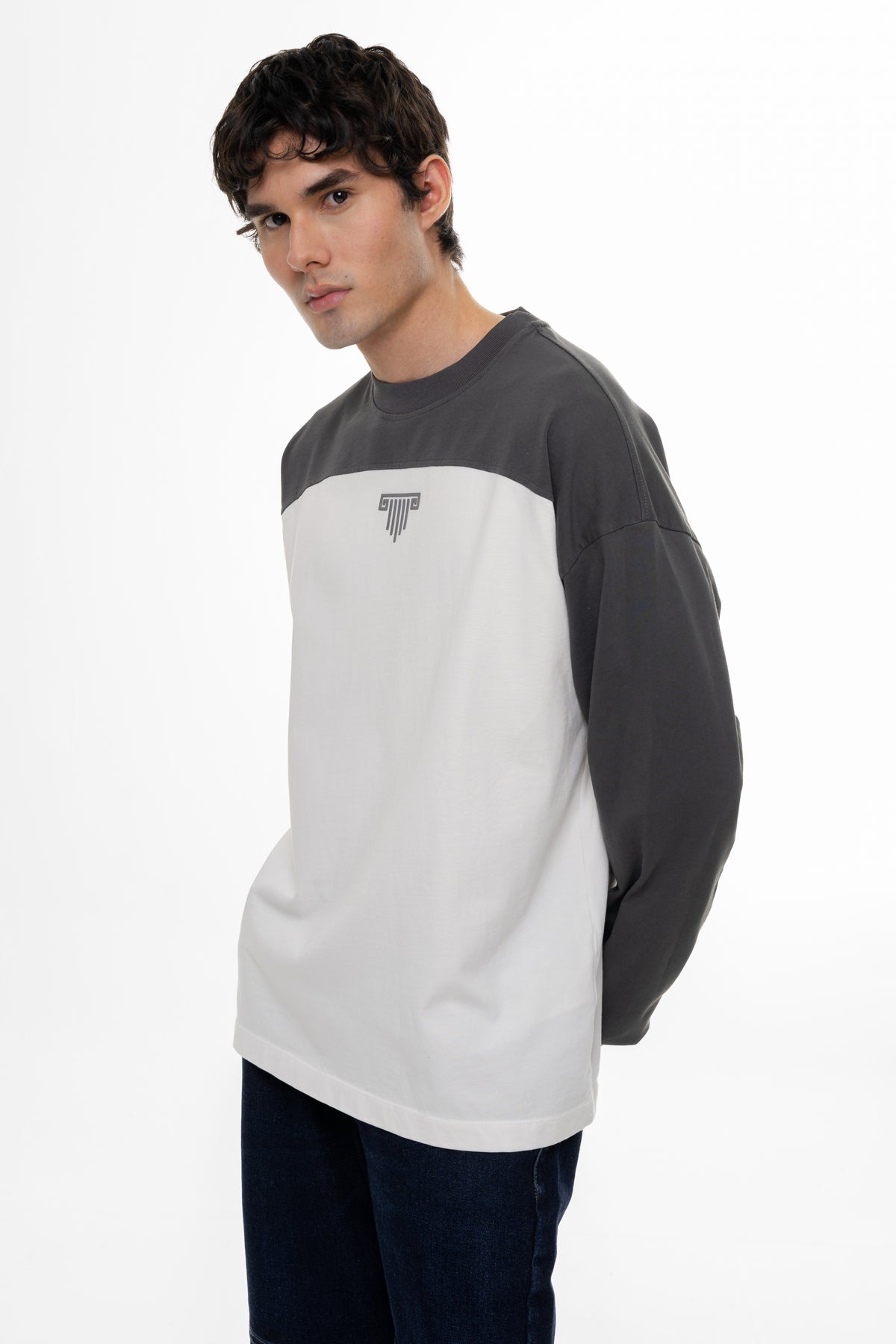 Panel Gray Regular Fit Longsleeve
